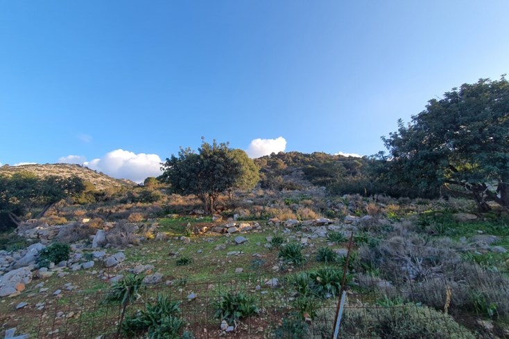 Realty photo 2