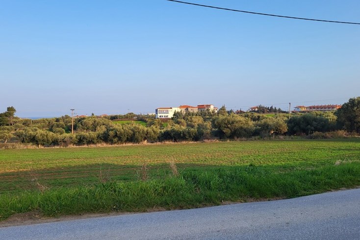Realty photo 1