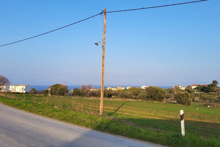 Realty photo 2