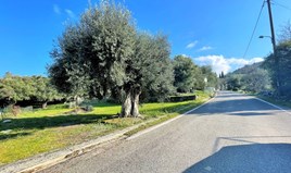 Land 2206 m² in Corfu