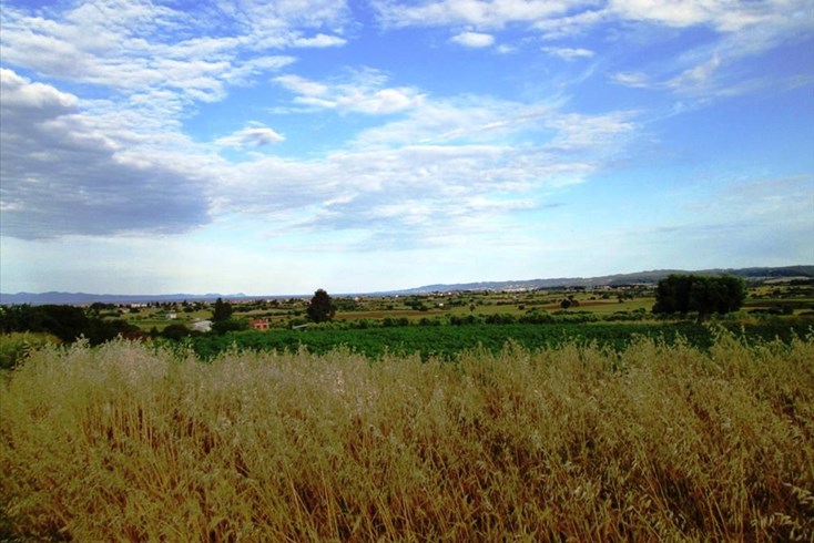 Realty photo 3