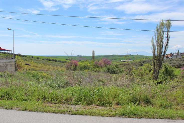 Realty photo 2