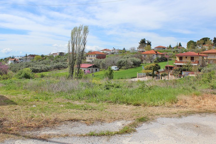 Realty photo 1