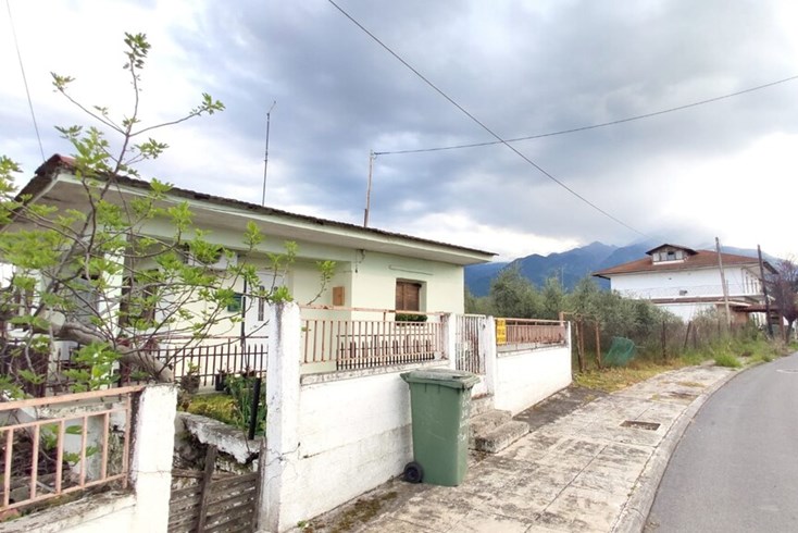 Realty photo 2