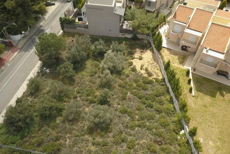 Realty photo 2