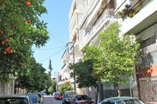 Property 5308 photo 1