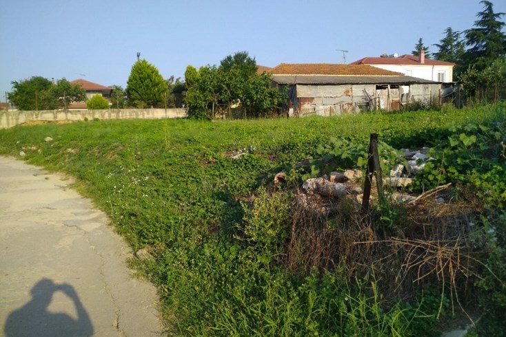 Realty photo 2