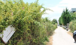 Land 1200 m² in Western Peloponnese