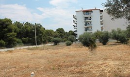 Land 1400 m² auf Ostpeloponnes