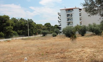 Arsa 1400 m² Doğu Peloponez’te