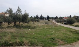 Land 7069 m² in Eastern Peloponnese