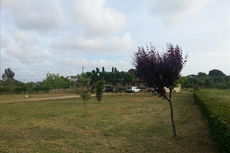 Realty photo 2