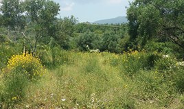 Land 2770 m² in Corfu