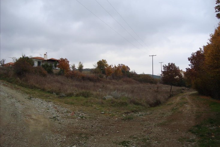 Realty photo 1