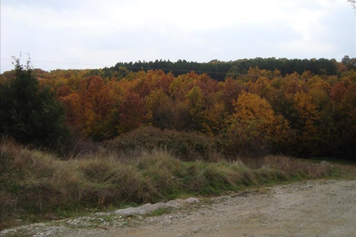 Realty photo 3