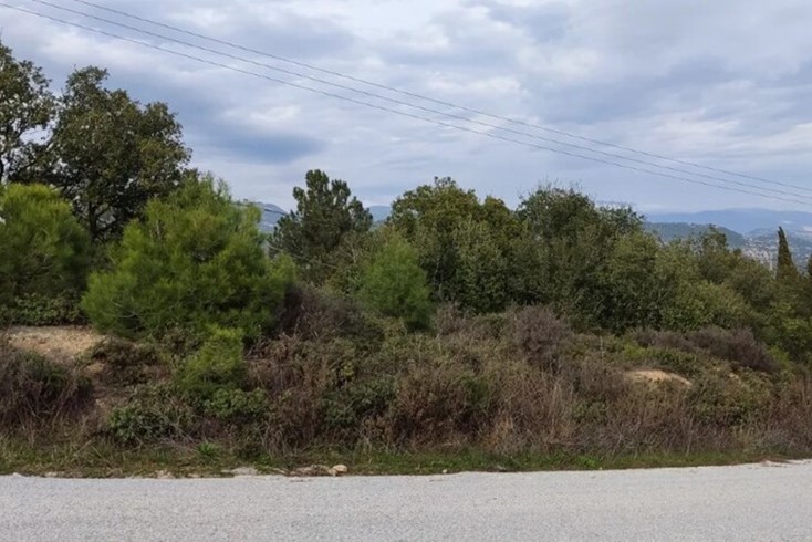 Realty photo 3