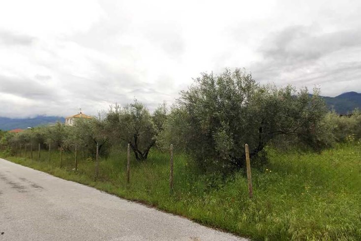 Realty photo 3