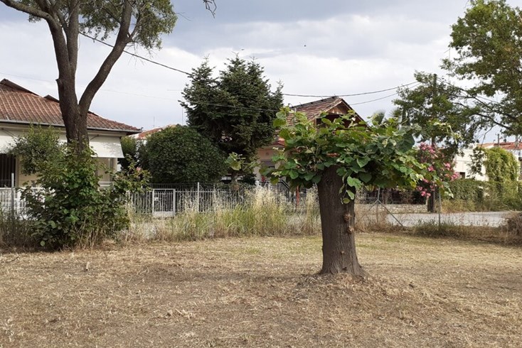 Realty photo 1