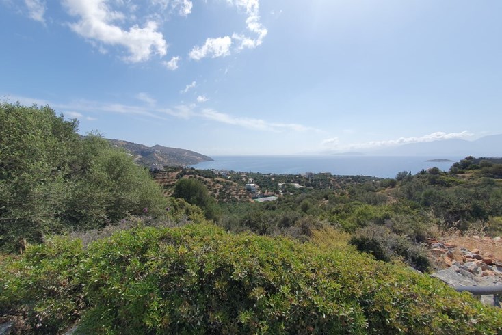 Realty photo 1