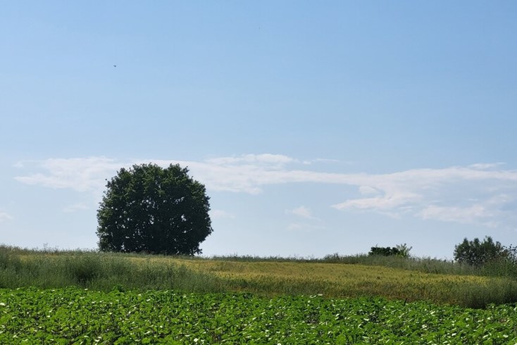 Realty photo 1