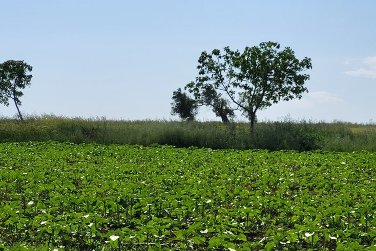 Realty photo 2