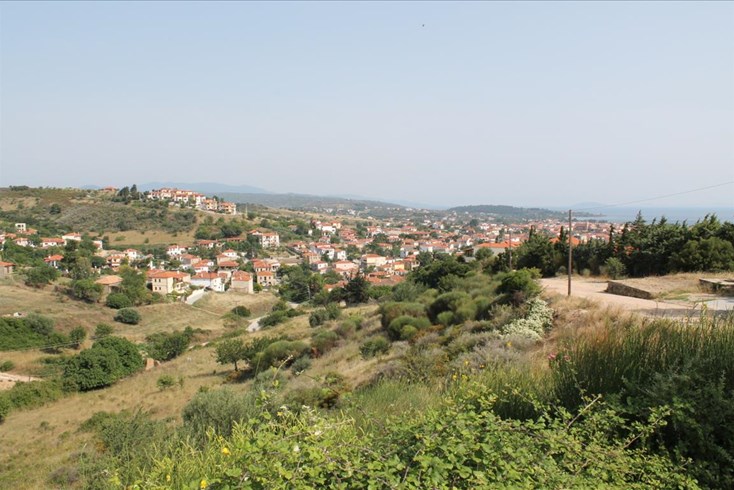 Realty photo 2