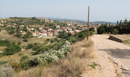 Land 2008 m² auf Sithonia (Chalkidiki)