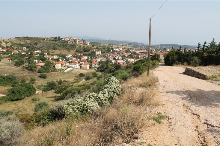 Realty photo 1