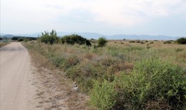 Land 10550 m² auf Athos (Chalkidiki)