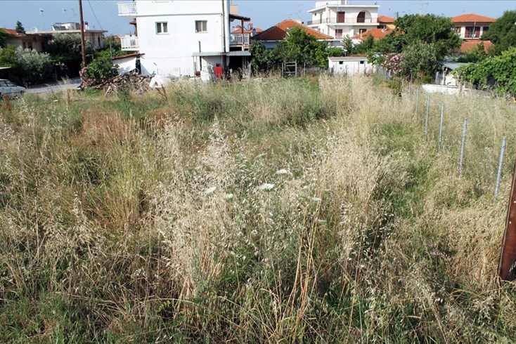 Realty photo 3