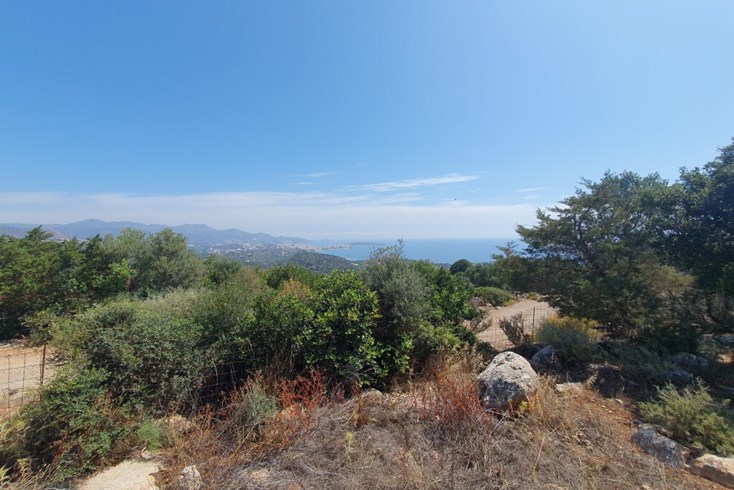 Realty photo 3