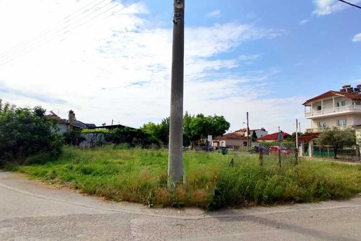 Realty photo 3
