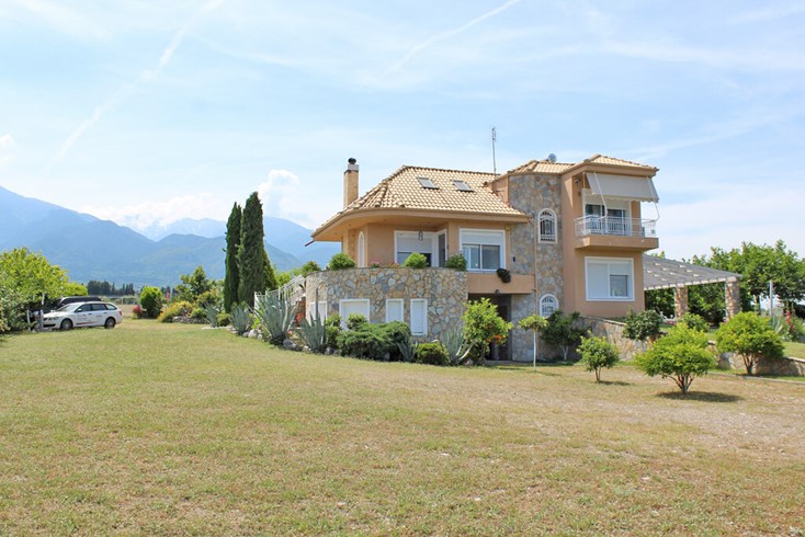 Realty photo 1