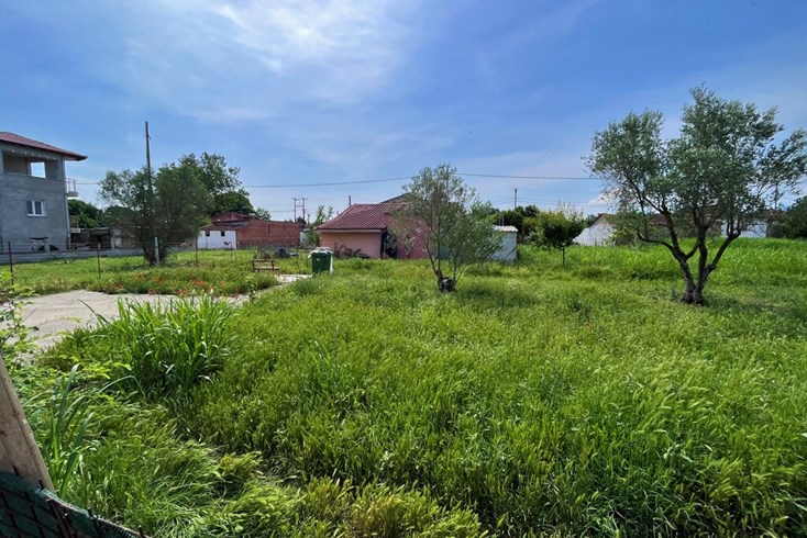 Realty photo 1