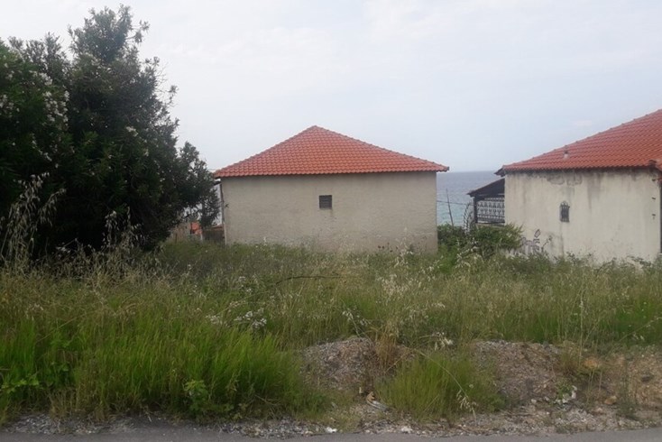 Realty photo 1