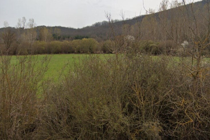 Realty photo 2