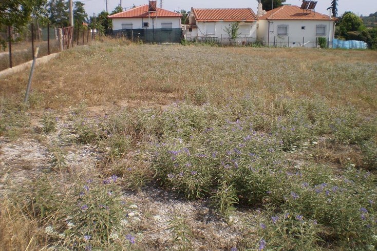 Realty photo 1