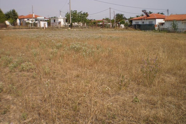Realty photo 3