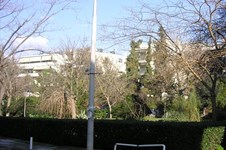 Property 5481 photo 2