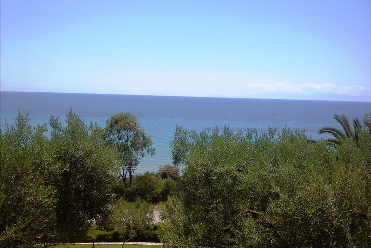 Realty photo 3
