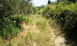 Terrain 12250 m² à Kassandra (Chalcidique)