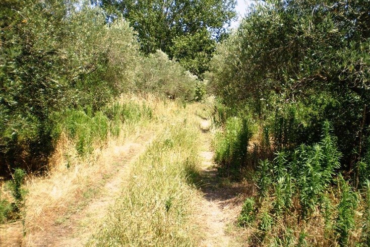 Realty photo 2