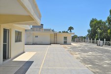 Property 5540 photo 3