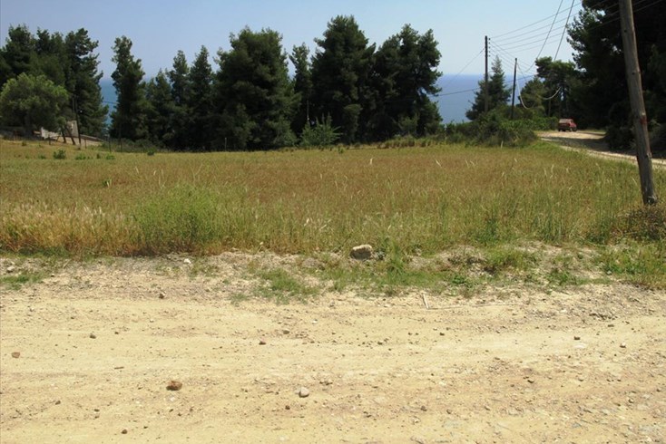 Realty photo 3