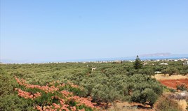 Земельна ділянка 3000 m² на Криті