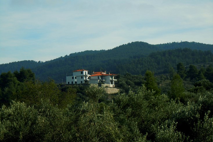 Realty photo 1