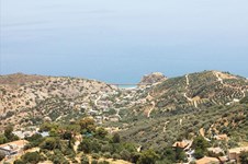 Property 5599 photo 23