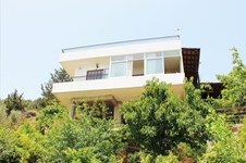 Property 5599 photo 3