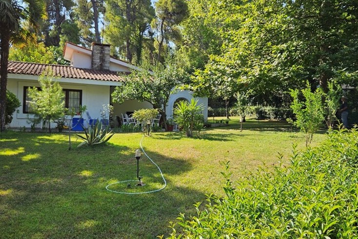 Realty photo 1