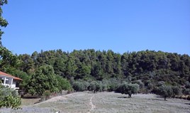 Land 2600 m² in Kassandra, Chalkidiki